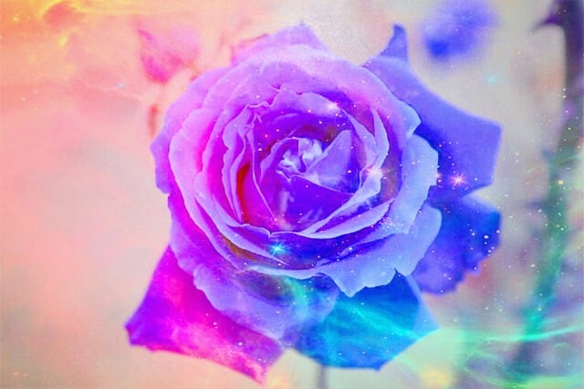 Free rose coloured floral background illustration