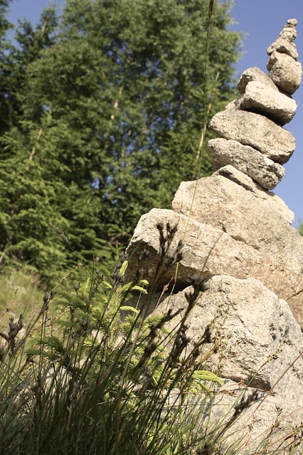 Free Stones Forest photo and picture