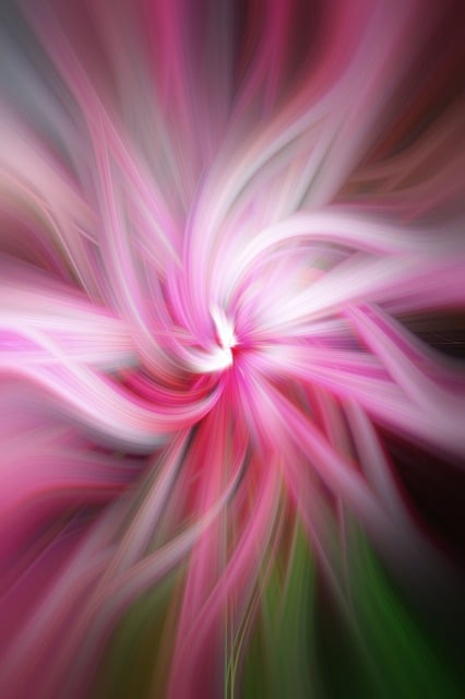 Free pink apple blossom twirl illustration