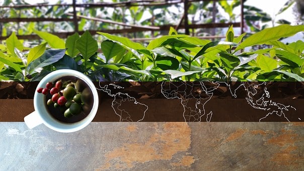 Free Coffee Bean Belt illustration and picture