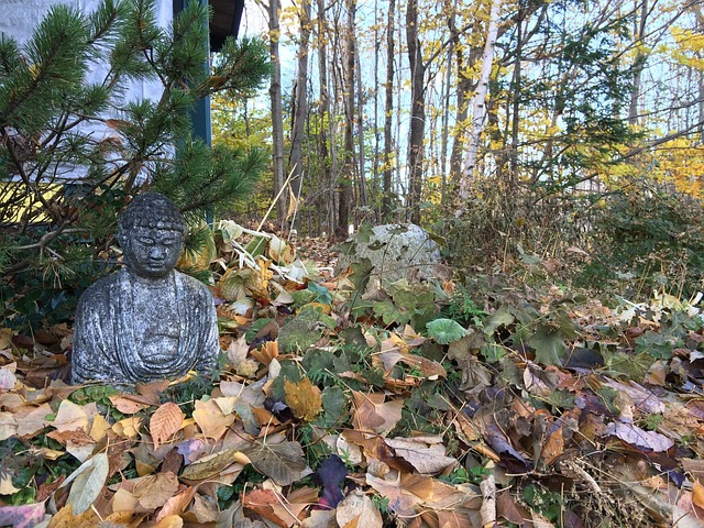 Puutarha, Patsas, Buddha, Veistos