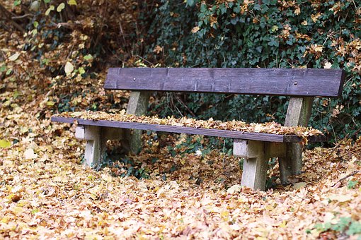 Free Bank Fall photo and picture