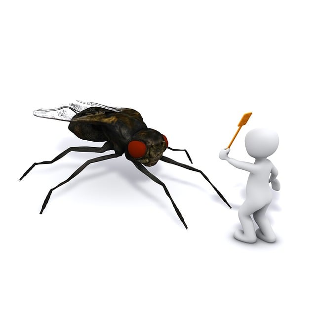 Free fly catch to hunt illustration