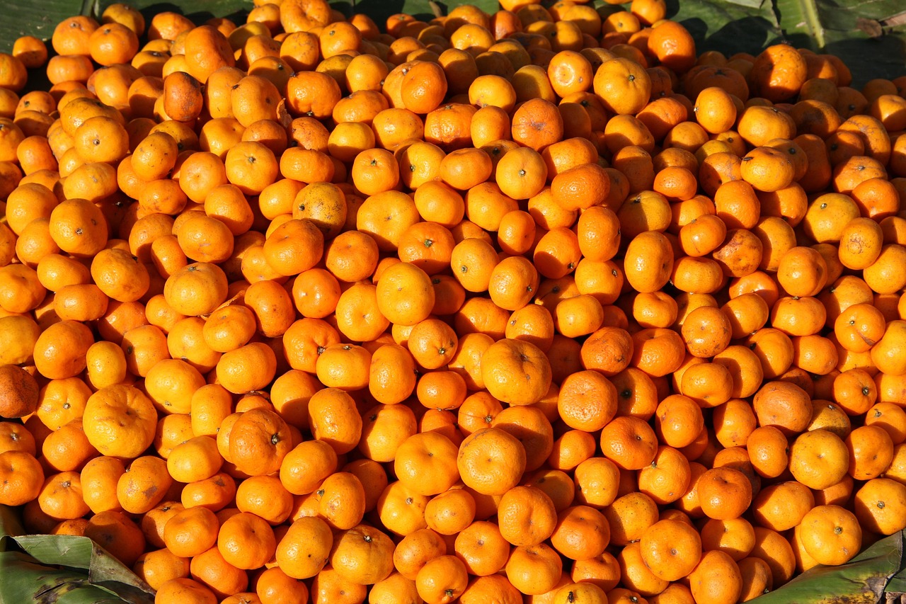 Mandarins - free online jigsaw puzzle photo