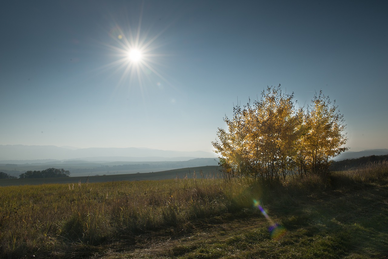 一颗树 国家 秋天 - Pixabay上的免费照片 - Pixabay