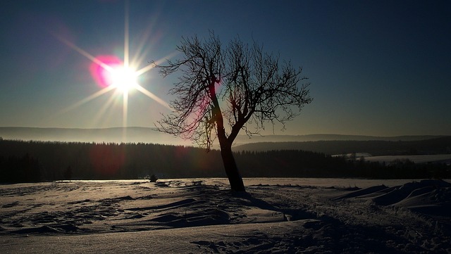 Free Ore Mountains Ore Mountain Ridge photo and picture