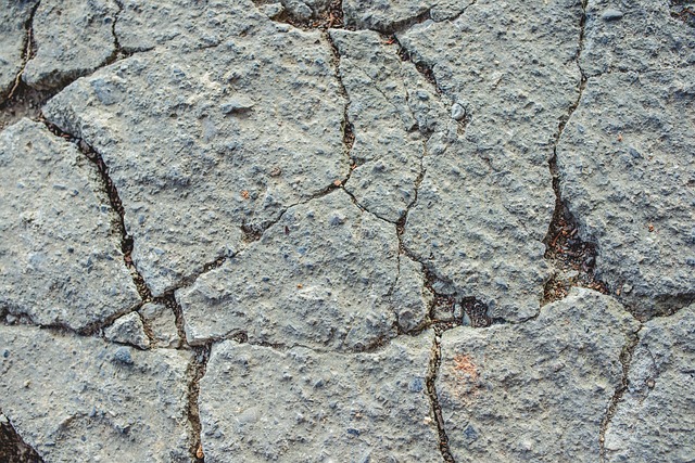 Free Land Earth photo and picture