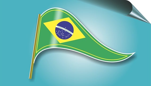 Free brazil streamer brasilia illustration