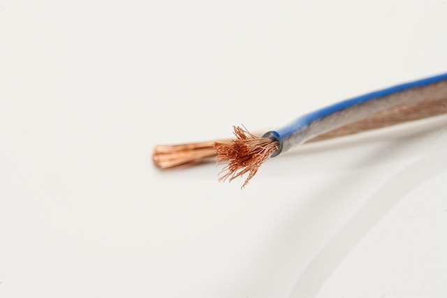 Free Management Cable photo and picture