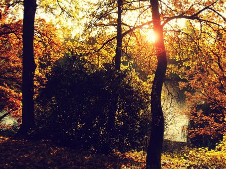 Free Autumn Sun photo and picture