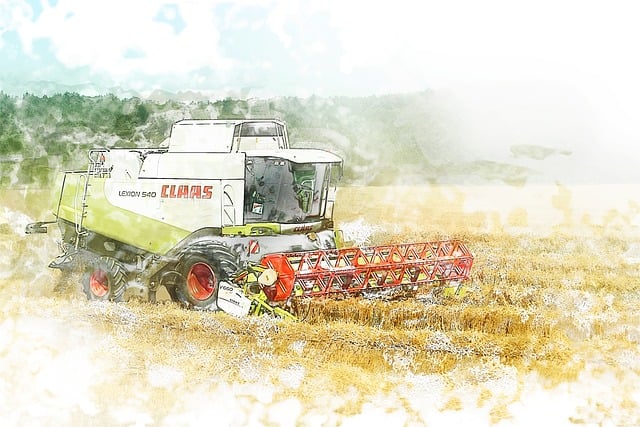 Free sowing harvest wheat illustration