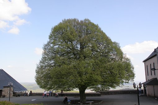 Free Nature Landscape photo and picture