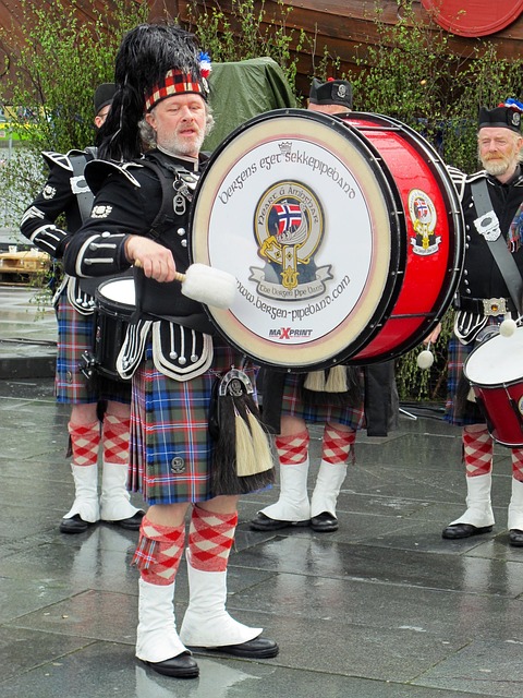 Free Norway Musician photo and picture