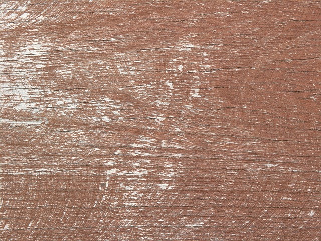 Free Texture Wood photo and picture