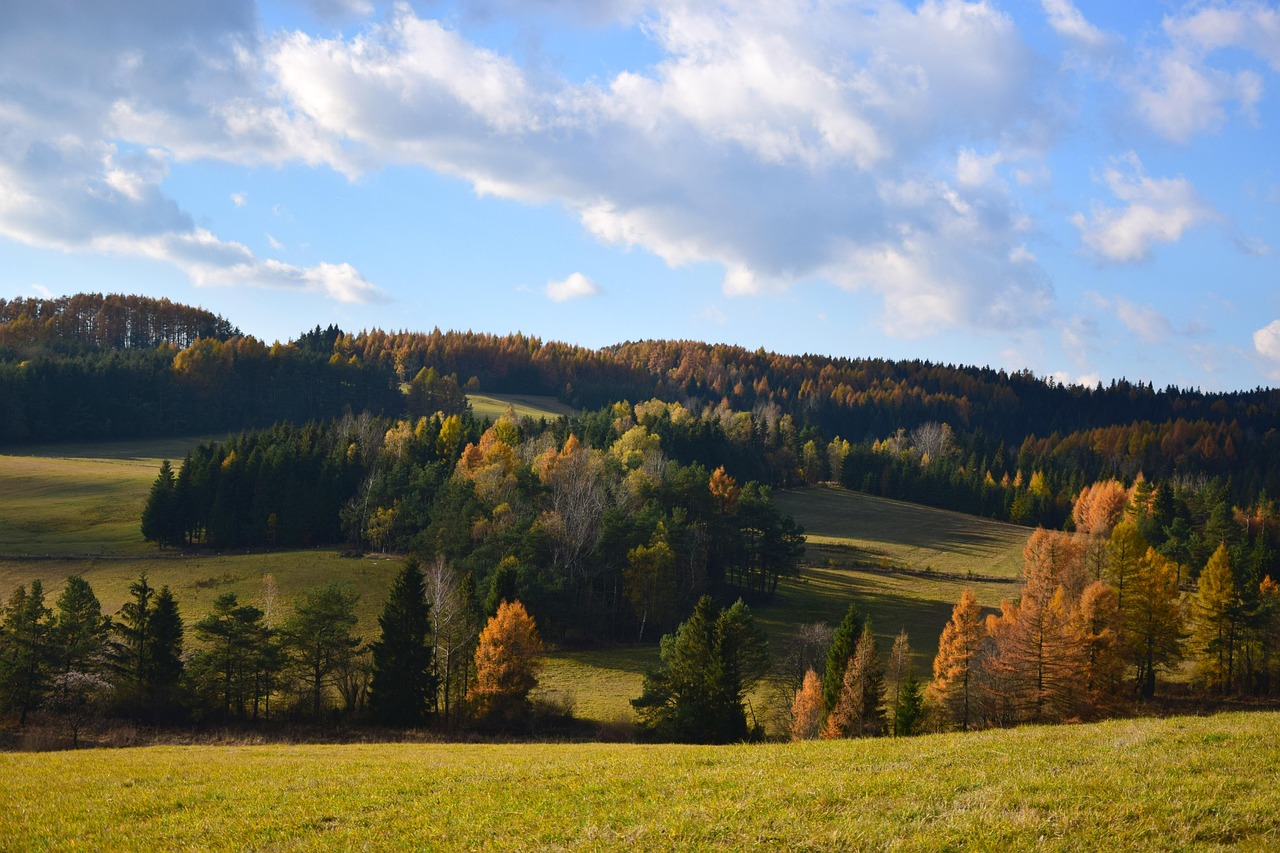 Landscape - free online jigsaw puzzle photo