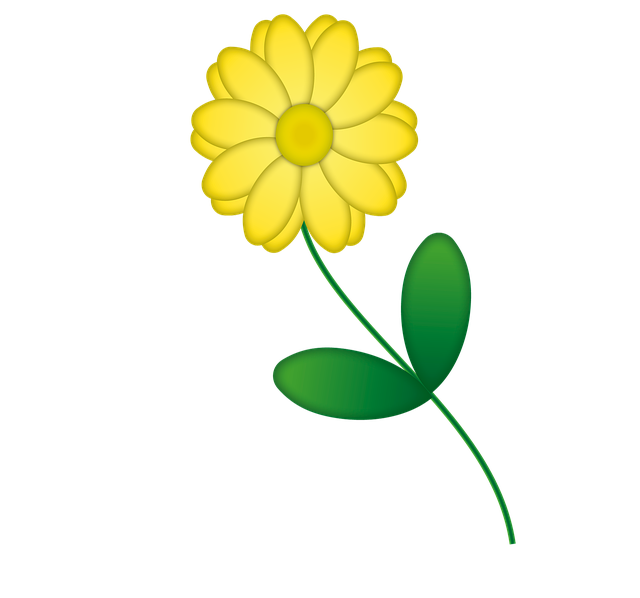 Free flower yellow yellow flower illustration