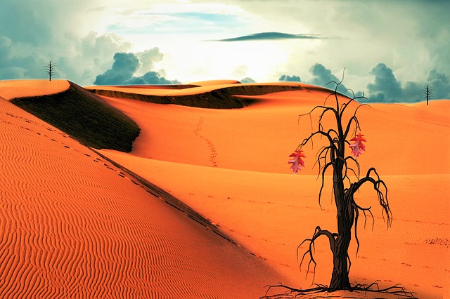 Free desert tree clouds illustration
