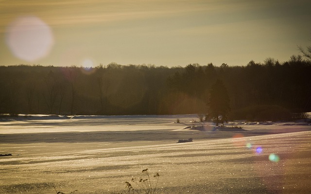 Free Winter Snow photo and picture
