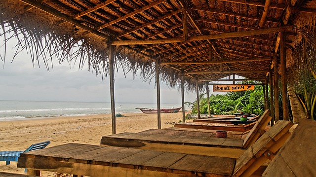 Sri Lanka, Praia, Solidão, Tropical