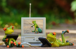 frogs, computer, laptop