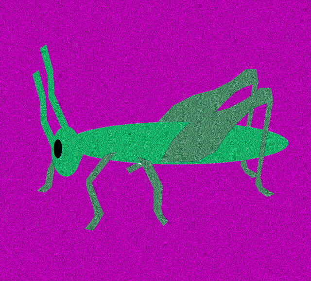 Free Cricket Bug illustration and picture