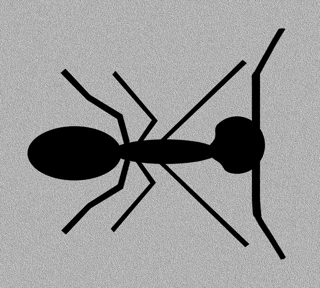 Free Ant Bug illustration and picture