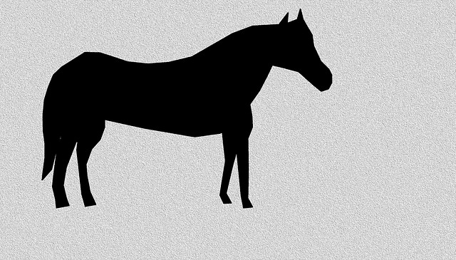 Free Horse Equine illustration and picture