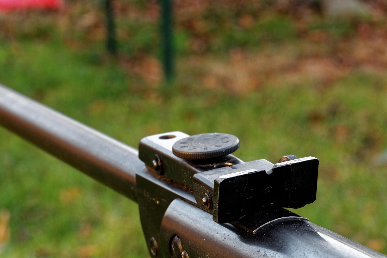 Weapon - free online jigsaw puzzle photo