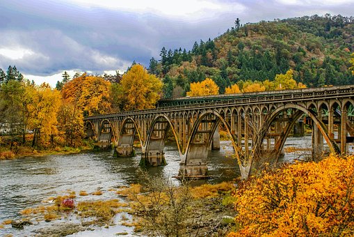 Free Bridge Nature photo and picture