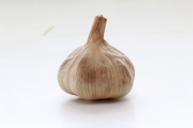 Free Garlic Black Garlic photo and picture