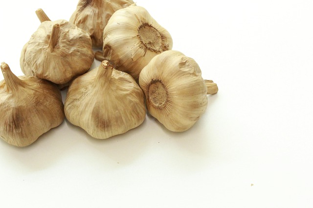 Free Garlic Black Garlic photo and picture
