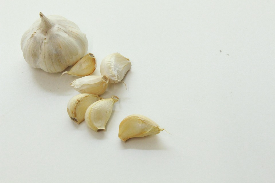 ニンニク 生 生ニンニク - Pixabayの無料写真 - Pixabay