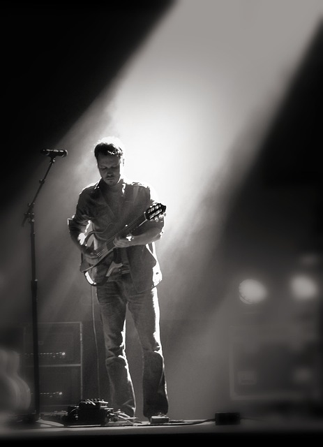 Free Guitar Concert photo and picture