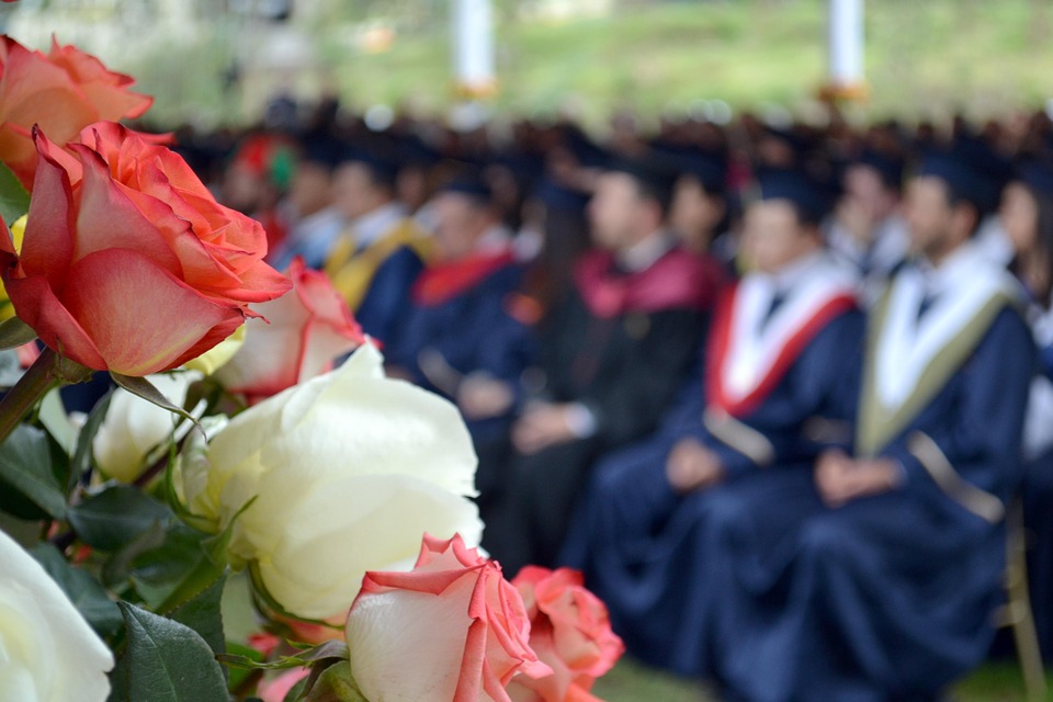 Roses Flowers Graduation · Free photo on Pixabay