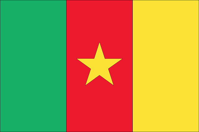 Free flag country cameroon vector