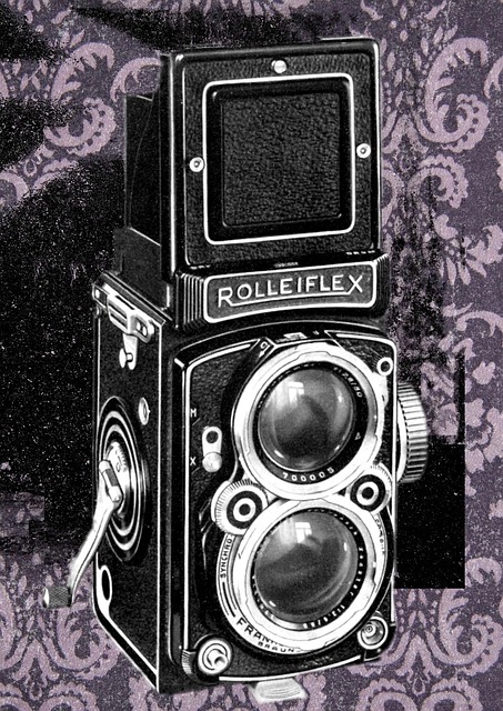 Fotografie, Jahrgang, Kamera, Antiquität