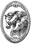 horses, drawing, old