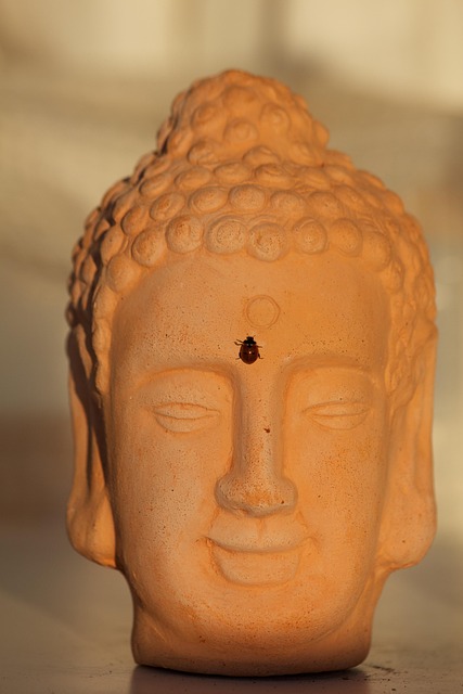 Free Buddha Ladybug photo and picture