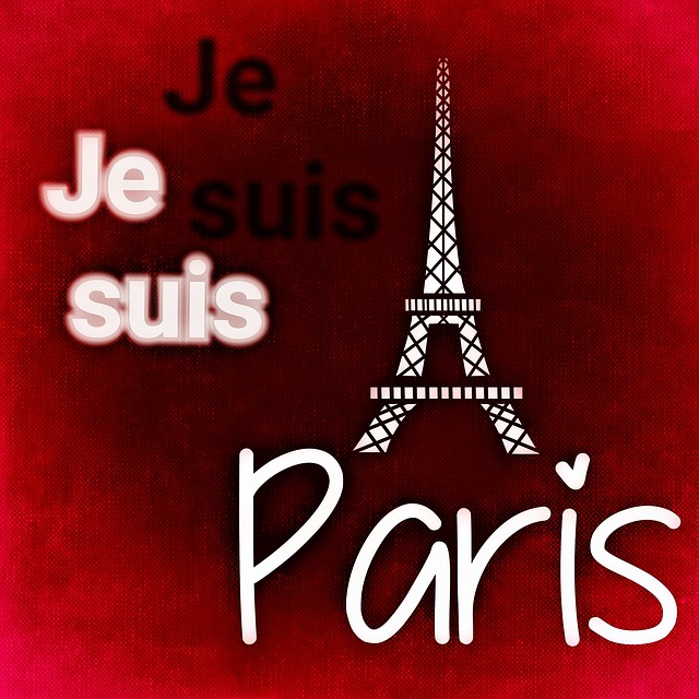 Free terrorist attacks paris november 13 illustration