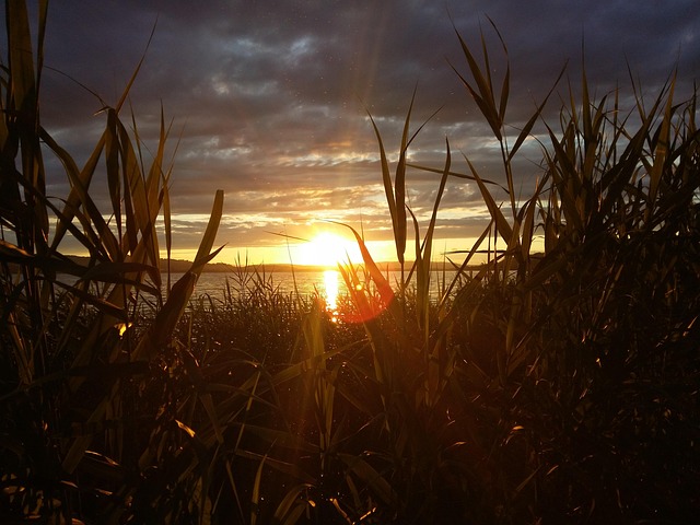Free Sunset Lake photo and picture