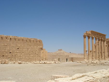 Free Palmyra Deserts photo and picture