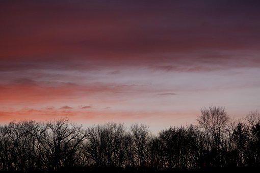 Sonnenuntergang, Herbst, Bäume, Rosa