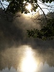 pond, surface, lake