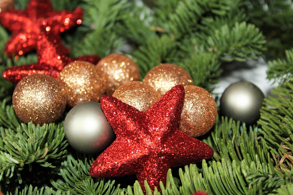 Weihnachtsstern Weihnachten · Kostenloses Foto auf Pixabay
