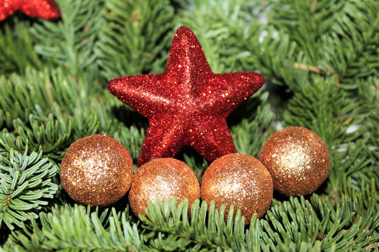 Weihnachtsstern Weihnachten - Kostenloses Foto auf Pixabay