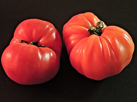 Free Tomatoes Zapotec Pleated photo and picture