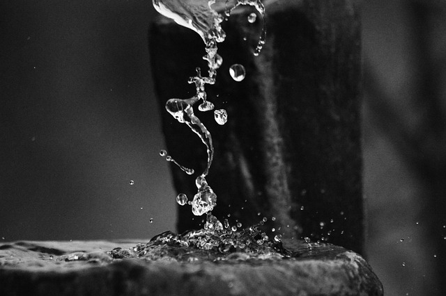 Free Water Drops photo and picture