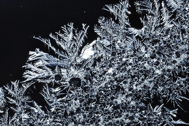 Iskrystaller, Vinter, Er, Sne, Frosne