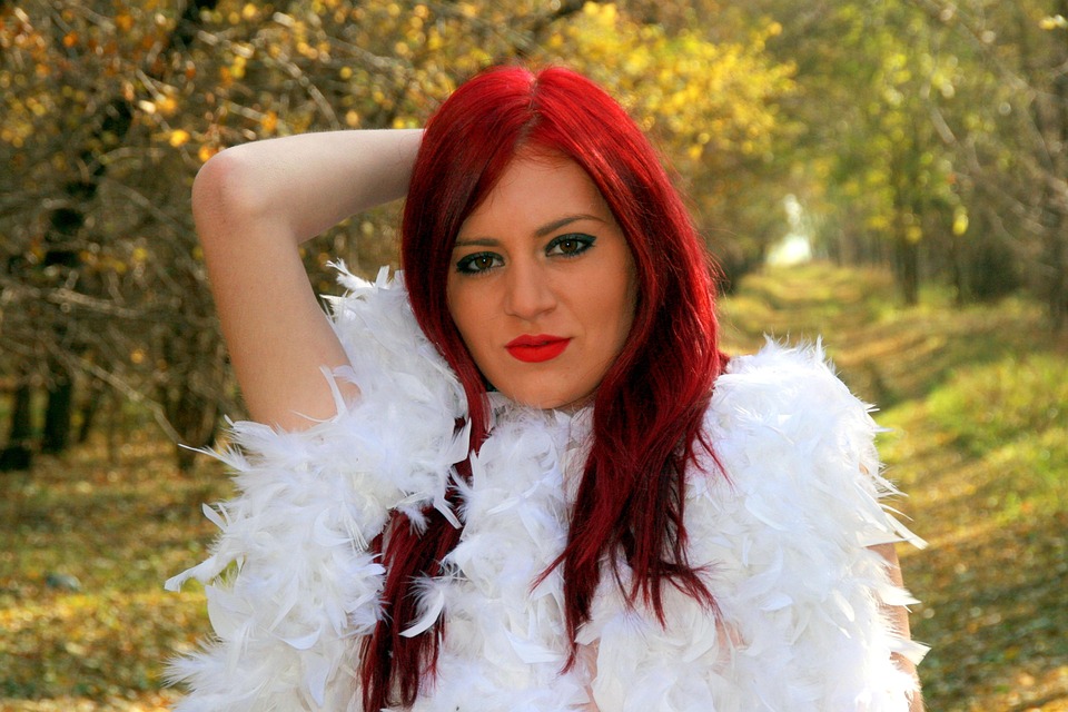 Jeune Peaux Rouges Avec Plume Visage Plumes Flocons - Photo gratuite sur Pixabay