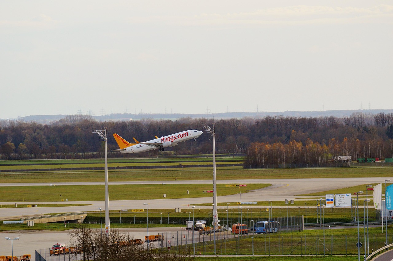 Plane - free online jigsaw puzzle photo